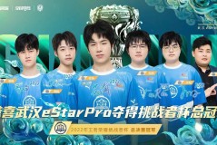 益达兄弟辅助教学直播人气飙升，助力新手成长